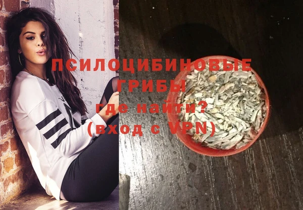шишки Михайловск