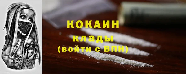 шишки Михайловск