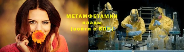 шишки Михайловск