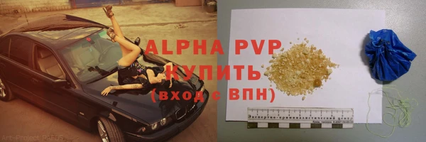 шишки Михайловск