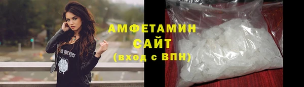шишки Михайловск