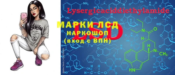 шишки Михайловск