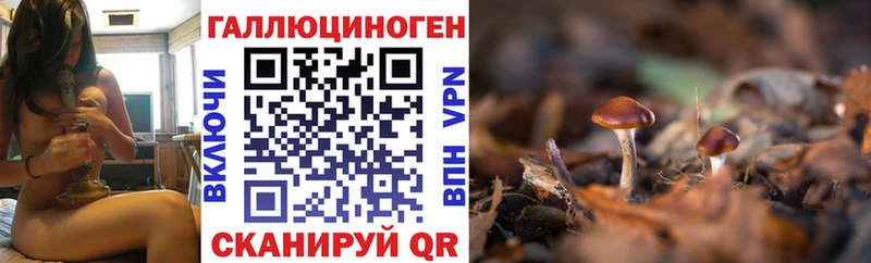 Галлюциногенные грибы Psilocybe  Гагарин 