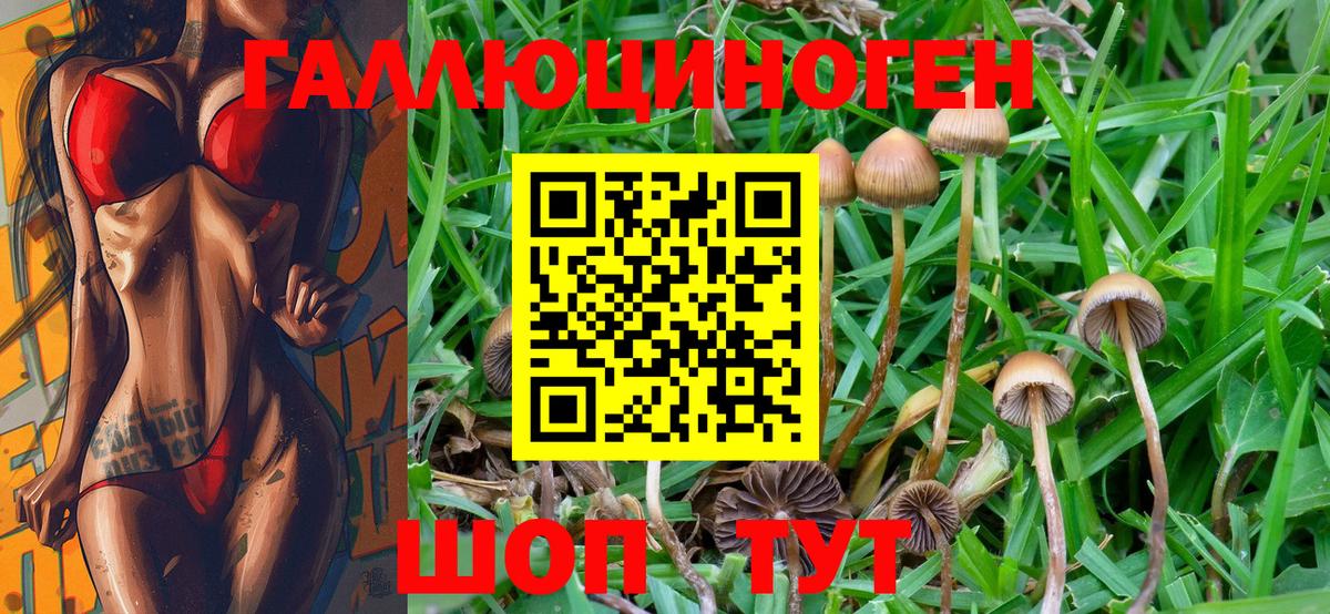 Галлюциногенные грибы Magic Shrooms Гагарин