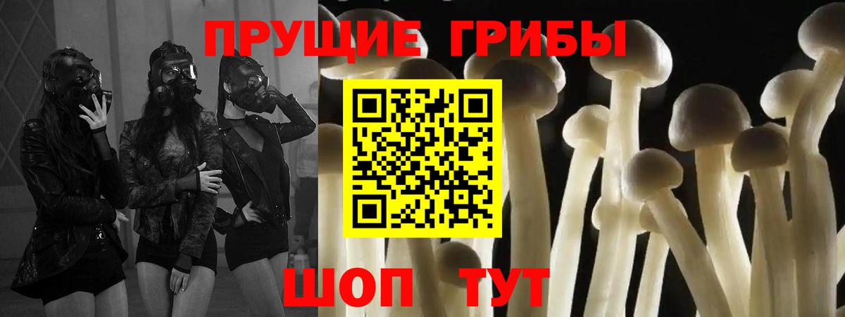 Псилоцибиновые грибы мухоморы Гагарин